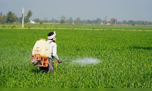 इंसेक्टिसाइड्स इंडिया का लक्ष्य वित्त वर्ष 2025 में दोहरे अंकों का मार्जिन बनाए रखना है