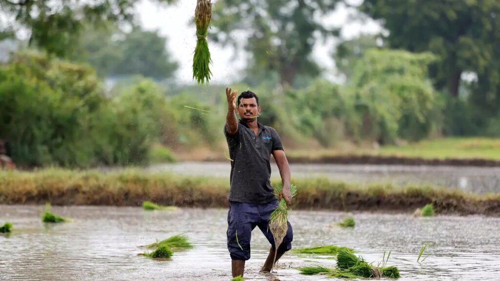 भारत में खरीफ की बुआई सामान्य से अधिक हुई, धान, तिलहन, पोषक अनाज और गन्ने की बुआई में बढ़ोतरी