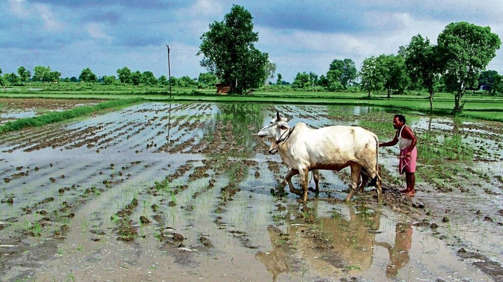 दुनिया की अगली खाद्य महाशक्ति