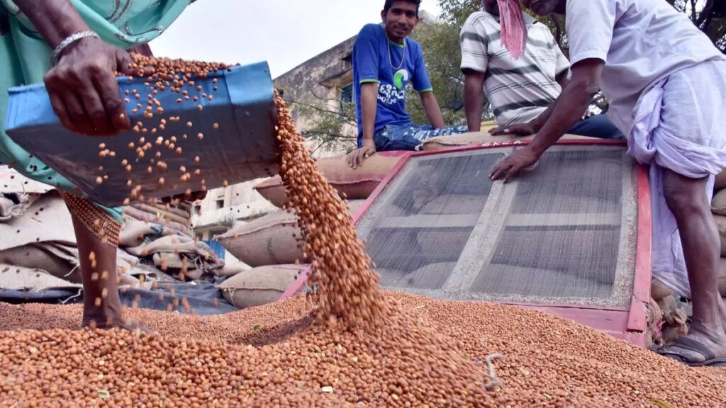 मानसून के बाद बारिश की कमी, कर्नाटक में अरहर की फसल पर बीमारियों का असर