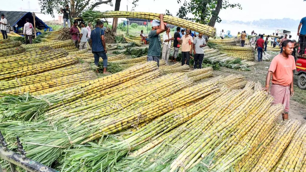 चीनी की कीमतें: इस सीजन में बेहतर ईयू, थाई गन्ने की फसल पर दबाव पड़ने की संभावना है