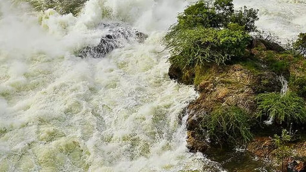 उत्तर-पूर्वी मॉनसून की भारी बारिश के कारण तमिलनाडु के जलाशय लगभग भर गए हैं