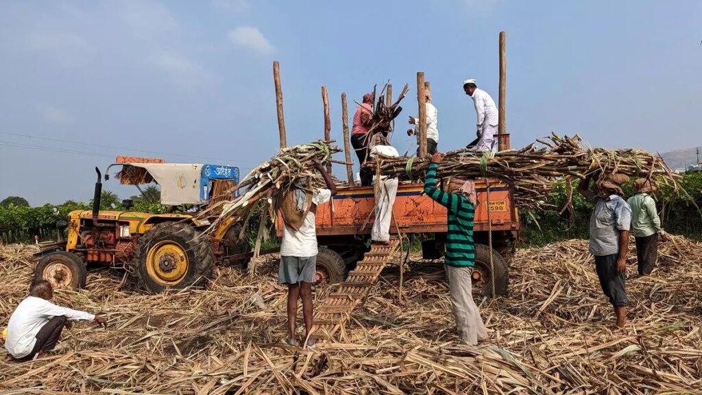 महाराष्ट्र, कर्नाटक में गन्ने की कमी पर चीनी क्रशिंग का मौसम जल्दी समाप्त हो सकता है